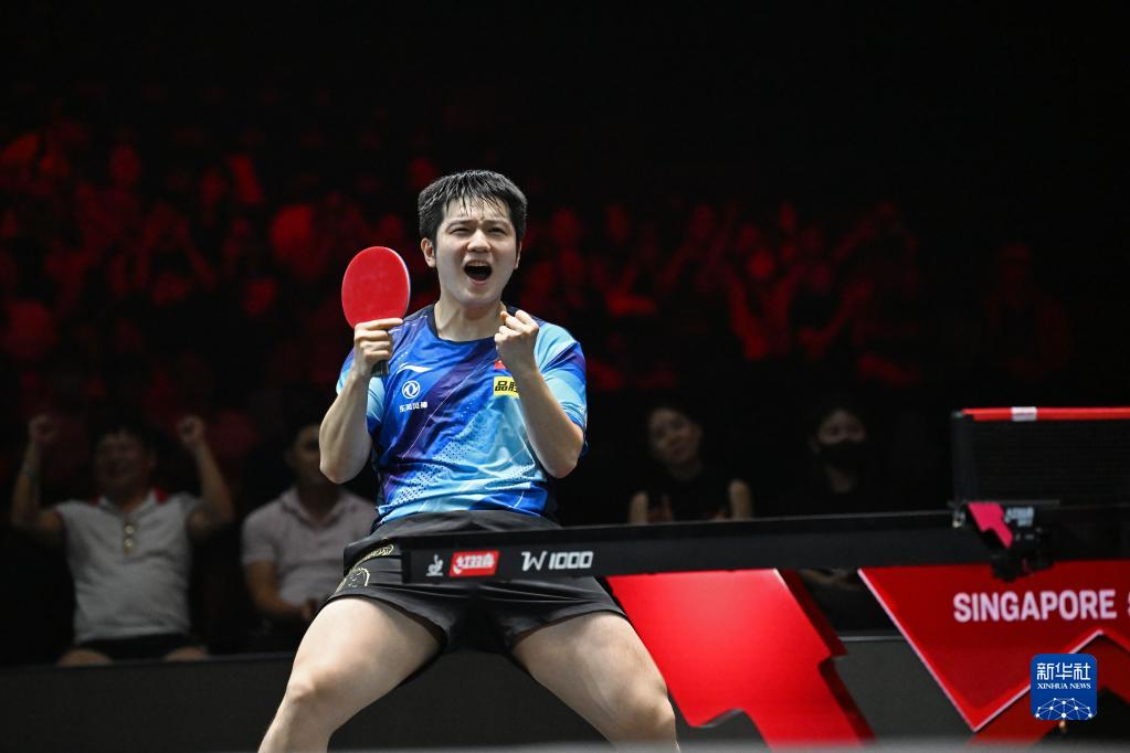 熊猫拳 / 霸气怒吼 - 图片 1